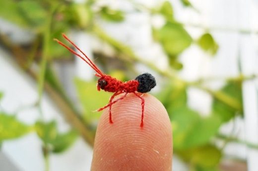 Amazing Micro Ant by SuAmi Vietnam