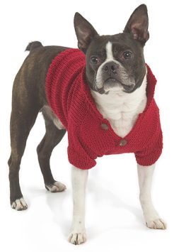 Dog Sweaters!
