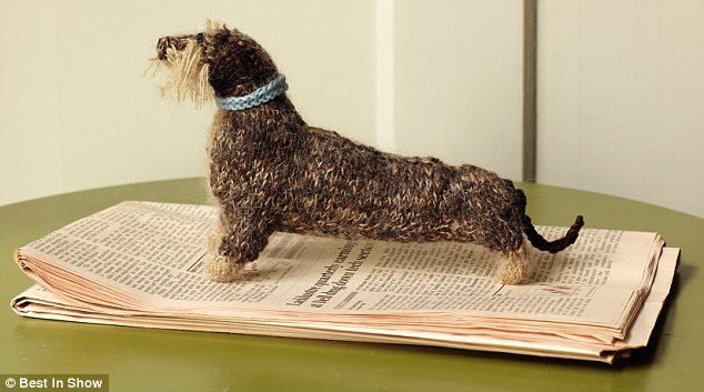 Holiday Gift Idea: Knit Your Dog (or Cat)!